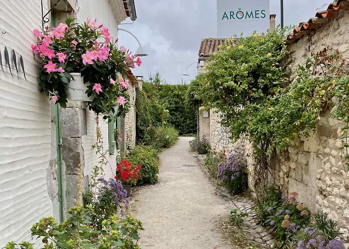 Mobilhome 3 Bedrooms 2 Bathrooms - Familial Jf64 * Les Mathes