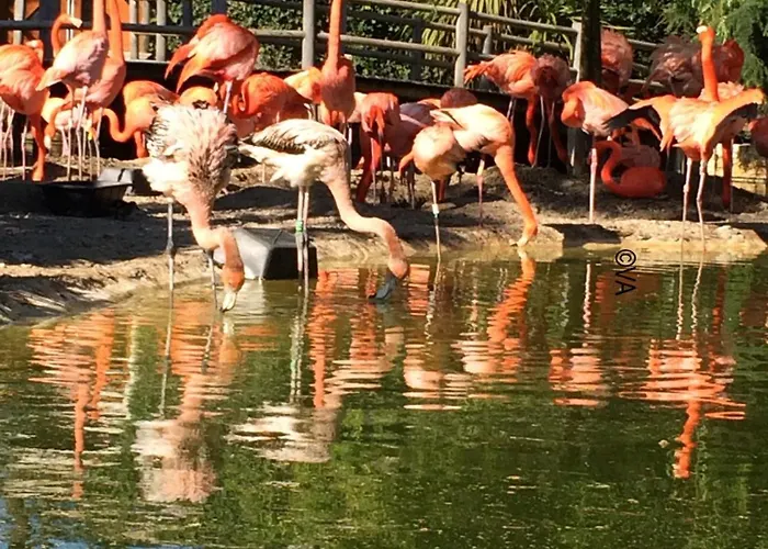 Mobilhome 3 Bedrooms 2 Bathrooms - Familial Jf64 Les Mathes