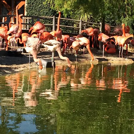 Mobilhome 3 Bedrooms 2 Bathrooms - Familial Jf64 Ле-Мат