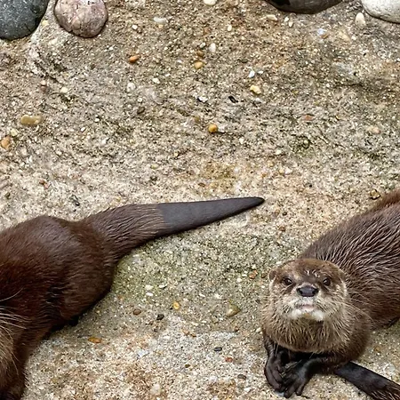 Дом отдыха Mobilhome 3 Bedrooms 2 Bathrooms - Familial Jf64 *